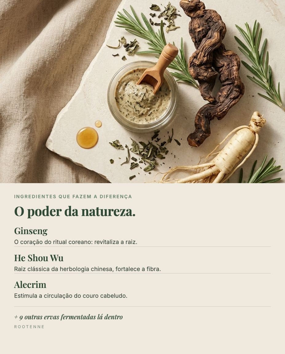 Ginseng coreano, raiz de He Shou Wu, alecrim e fermentado de ervas sobre pedra