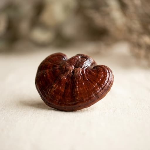 Reishi